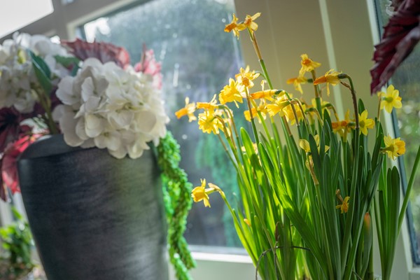 Medium property photo - Exmorrazijl 8, 8759 LP Exmorra